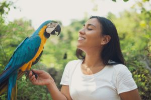 Who should consider buying or adopting a Macaw